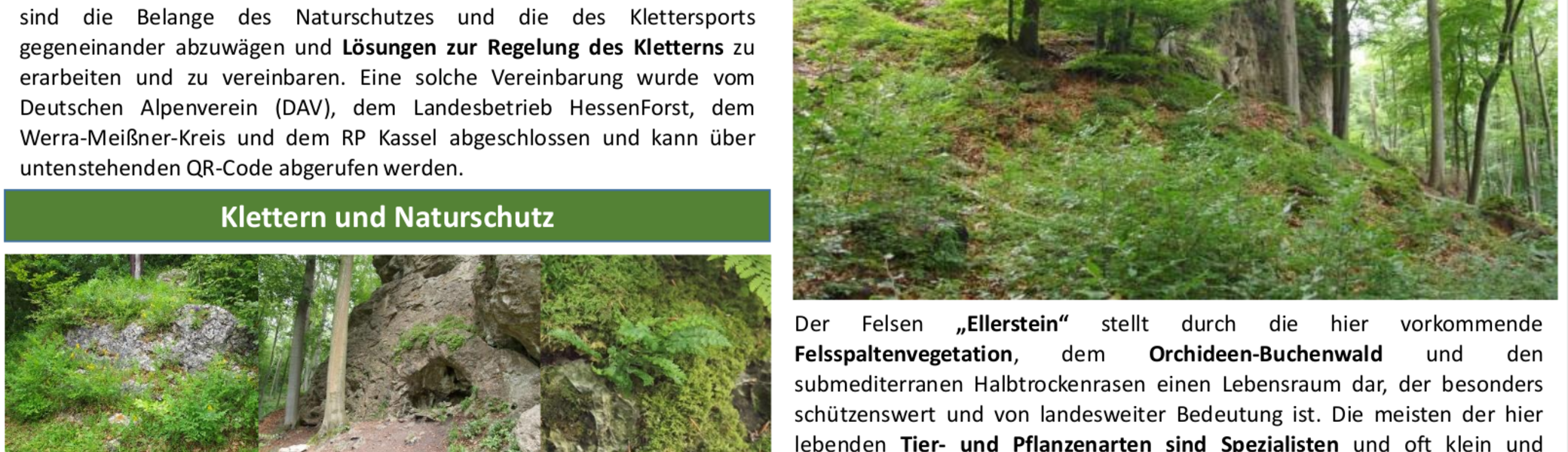 Aufsteller zur Kletterkonzeption Werratal | © Regierungspräsidium Kassel